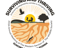 ac2024_logo_color
